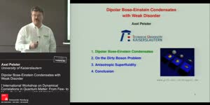 Thumbnail - Dipolar Bose-Einstein condensates with weak disorder