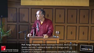 Miniaturansicht - Words Like Gold: Traditional Buddhism in Dialogue with Contemporary Societies