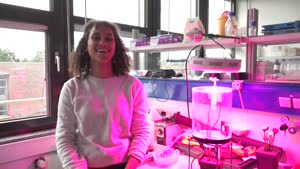 Thumbnail - Studentin Clarisse Goesele zeigt uns ihr Forschungsprojekt im Rahmne ihrer Bacherlorarbeit vor