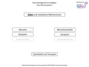 Miniaturansicht - PNEI-Modul-W17-Vorlesung-Neurobiologie-Teil-1.1-Folienerklärung-B