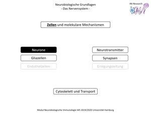 Miniaturansicht - PNEI-Modul-W17-Vorlesung-Neurobiologie-Teil-1.2-Folienerklärung-B