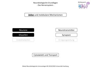 Miniaturansicht - PNEI-Modul-W17-Vorlesung-Neurobiologie-Teil-1.3-Folienerklärung-B