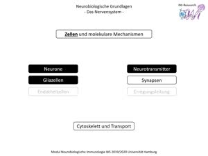 Miniaturansicht - PNEI-Modul-W17-Vorlesung-Neurobiologie-Teil-1.4-Folienerklärung-B