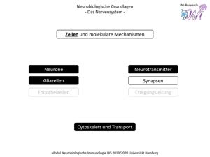 Miniaturansicht - PNEI-Modul-W17-Vorlesung-Neurobiologie-Teil-1.5-Folienerklärung-B