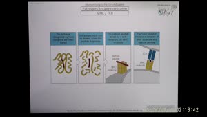 Miniaturansicht - PNEI-Modul-W17-Vorlesung-Immunologie-Teil-4.8-Folienerklärung