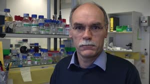 Miniaturansicht - Prof. Dr. Wolfgang Streit stellt einen Forschungsschwerpunkt seiner AG vor