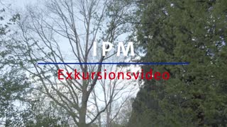 Thumbnail - 2. IPM