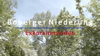 Thumbnail - 3. Boberger Niederung