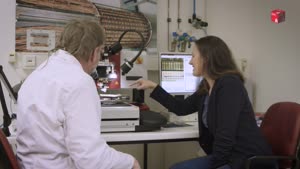 Miniaturansicht - Experimentalphysik: Prof. Dr. Erika Garutti