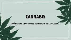 Thumbnail - Cannabis - Gefährliche Droge oder risikofreie Nutzpflanze?