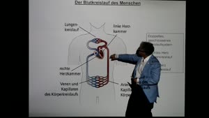 Miniaturansicht - Modul-BBIO-10-Vorlesung-Tierphysiologie-EKG-Teil-1-Folienerklärung