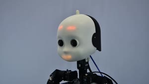 Miniaturansicht - Die Roboterplattform NICO