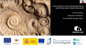 Miniaturansicht - Challenges to test macroecological questions using fossil data