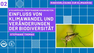 Thumbnail - Stechmücken-übertragene Krankheiten: Einfluss von Klimawandel und Veränderungen der Biodiversität