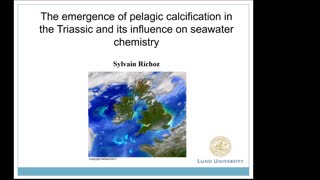 Miniaturansicht - The emergence of pelagic calcification in the Triassic and its influence on seawater chemistry