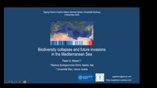 Miniaturansicht - Biodiversity collapses and future invasions in the Mediterranean Sea