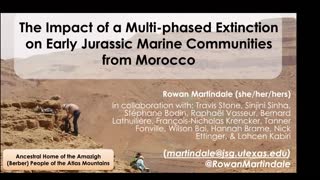 Miniaturansicht - The Impact of a Multi-phased Extinction on Early Jurassic Marine Communities from Morocco