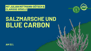 Thumbnail - Salzmarsche und Blue Carbon