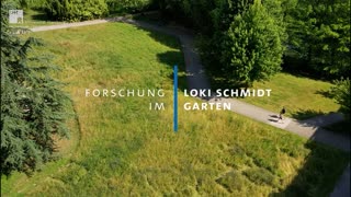 Miniaturansicht - Forschung im Loki-Schmidt-Garten (Teil 2)