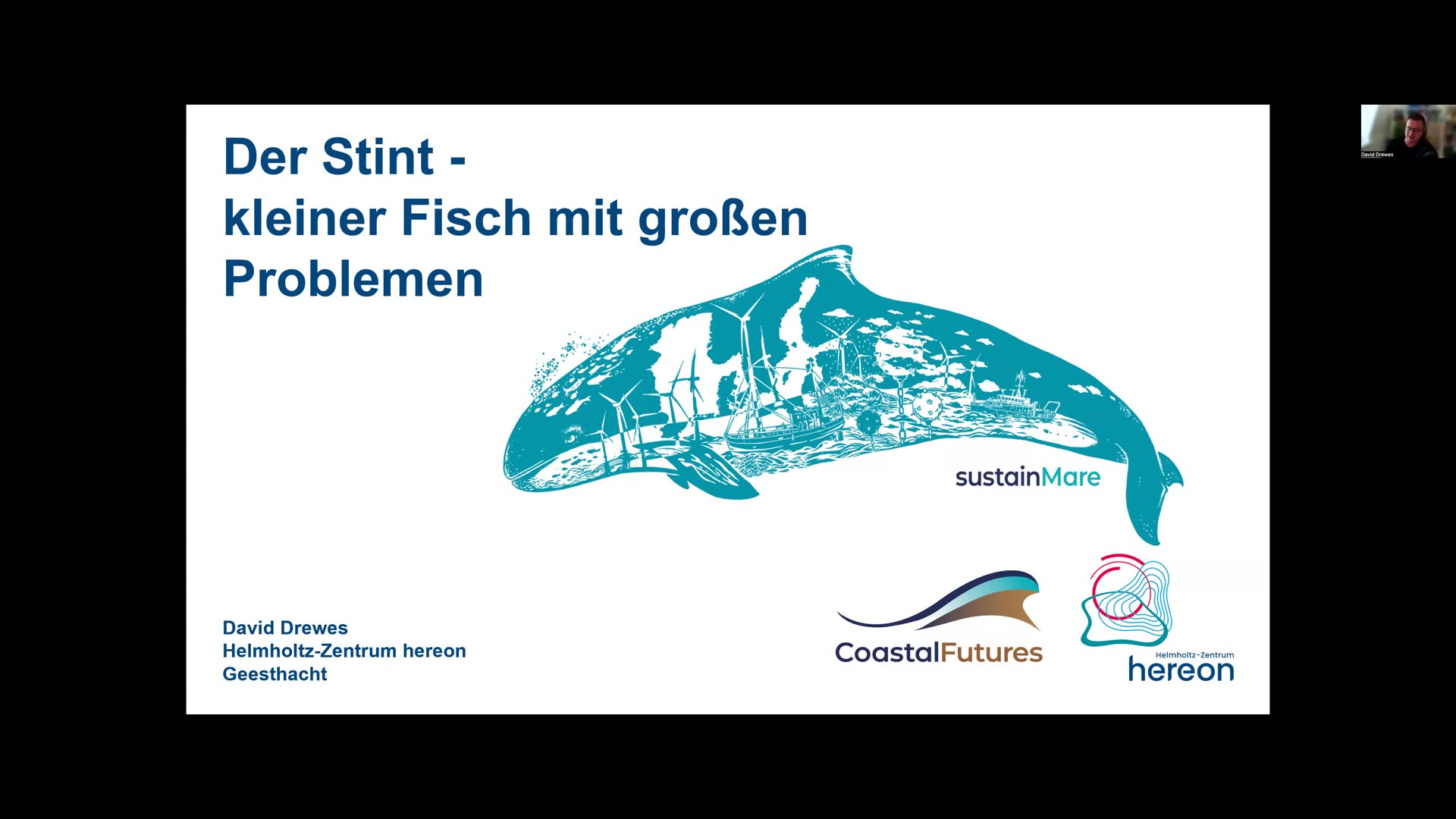 Miniaturansicht - Der Stint, kleiner Fisch mit großen Problemen