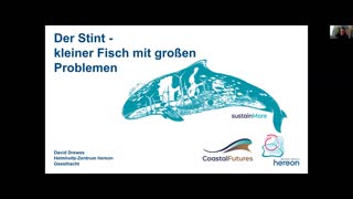 Miniaturansicht - Der Stint, kleiner Fisch mit großen Problemen
