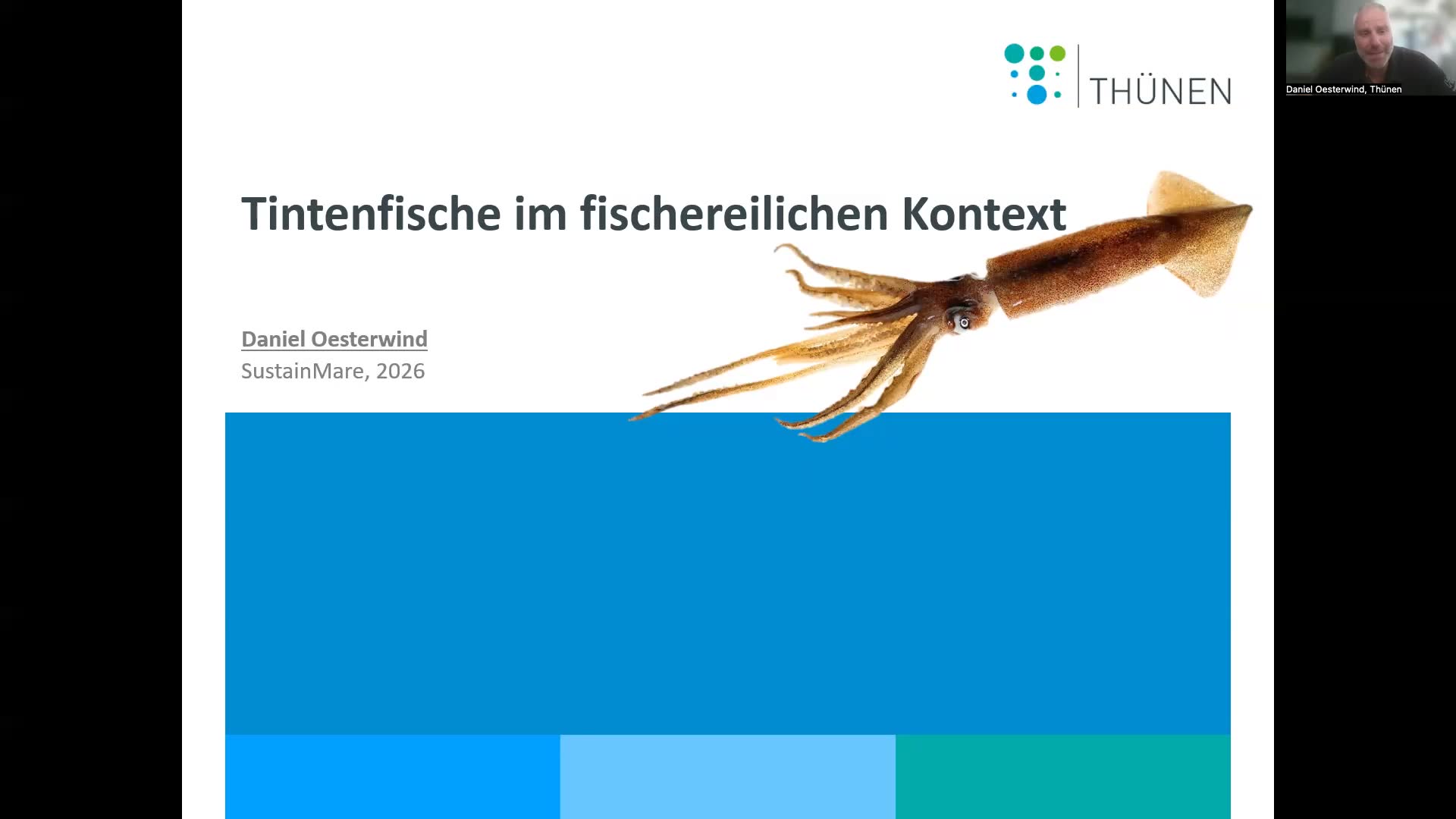Miniaturansicht - Kalmare als neue Ressource
