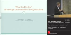 Miniaturansicht - What do international organizations do?