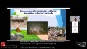 Miniaturansicht - Deforestation and forest degradation in Central Highland