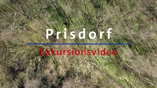 Thumbnail - 1. Prisdorf