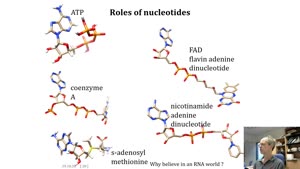 Miniaturansicht - RNA world part 2 of 4