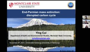 Miniaturansicht - end-Permian mass extinction
