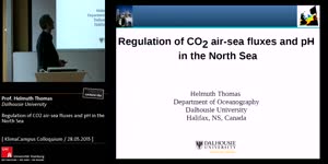 Miniaturansicht - Regulation of CO2 air-sea fluxes and pH in the North Sea