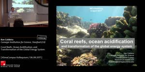 Miniaturansicht - Coral reefs, ocean acidification, and transformation of the global energy system