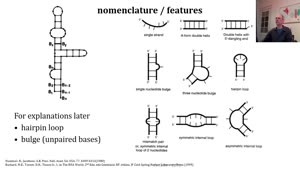 Thumbnail - RNA nucleotides part 4 of 6