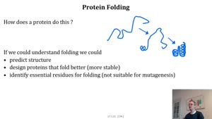 Thumbnail - Proteinfaltung Teil 1 von 3