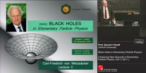 Miniaturansicht - Black Holes in Elementary Particle Physics