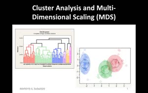 Miniaturansicht - Cluster Analysis and Multidimensional Scaling